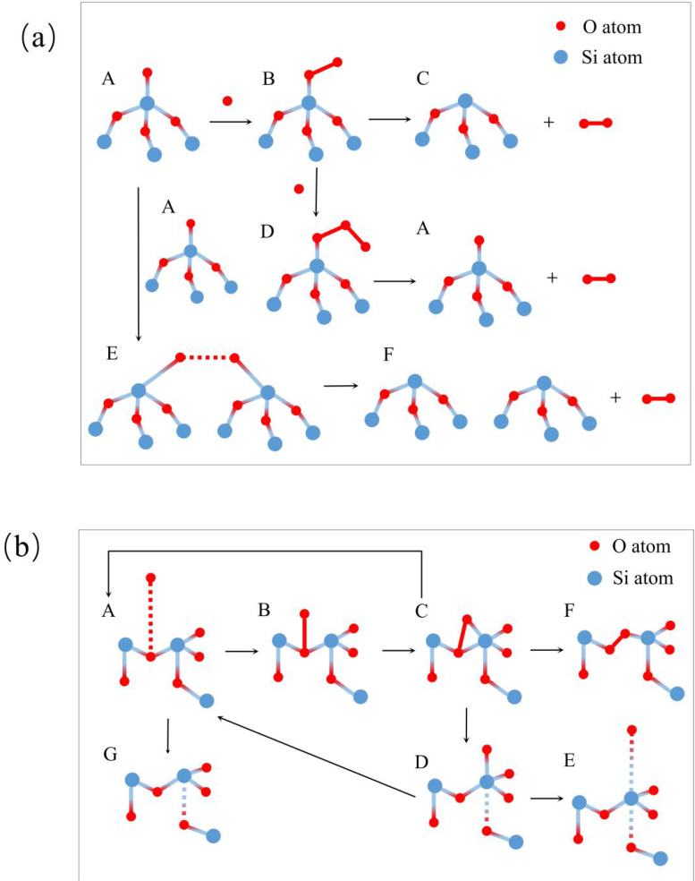 氧原子催化耦合与吸附-脱附过程的反应设计